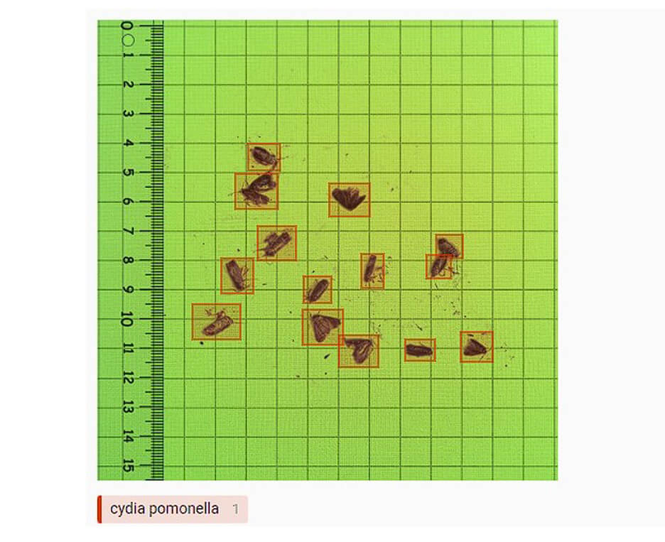 Smart Trap
